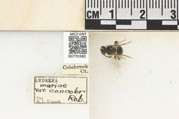 Media type: image;   Entomology 770380 Aspect: Labels